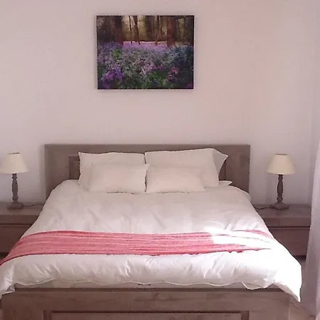Apartament Pleasant 2 Bed In The Calm Palm Area Of With Beaches Nearby On Sides 1525 Cannes